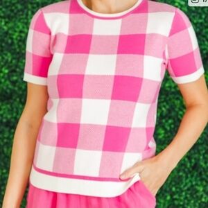 Skies Are Blue Pink and White Check Knit Short Sleeve Sweater